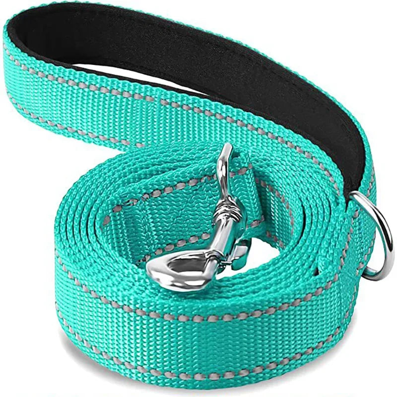 Tailented LeadFlow™ – Nylon Reflective Dog Leash for Everyday Walks