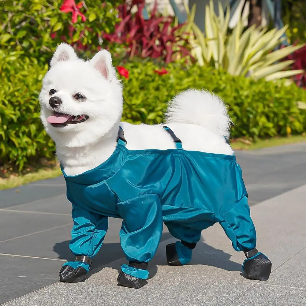 Waterproof Dog Shoes with Adjustable Braces – CloudShield™