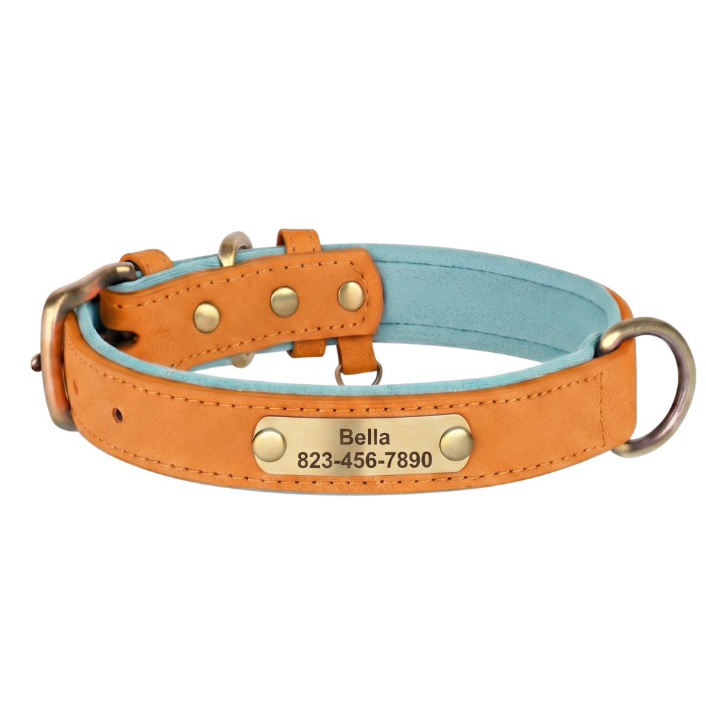 Tailented PawLink™ – Adjustable Dog Collar for Everyday Wear & Walking