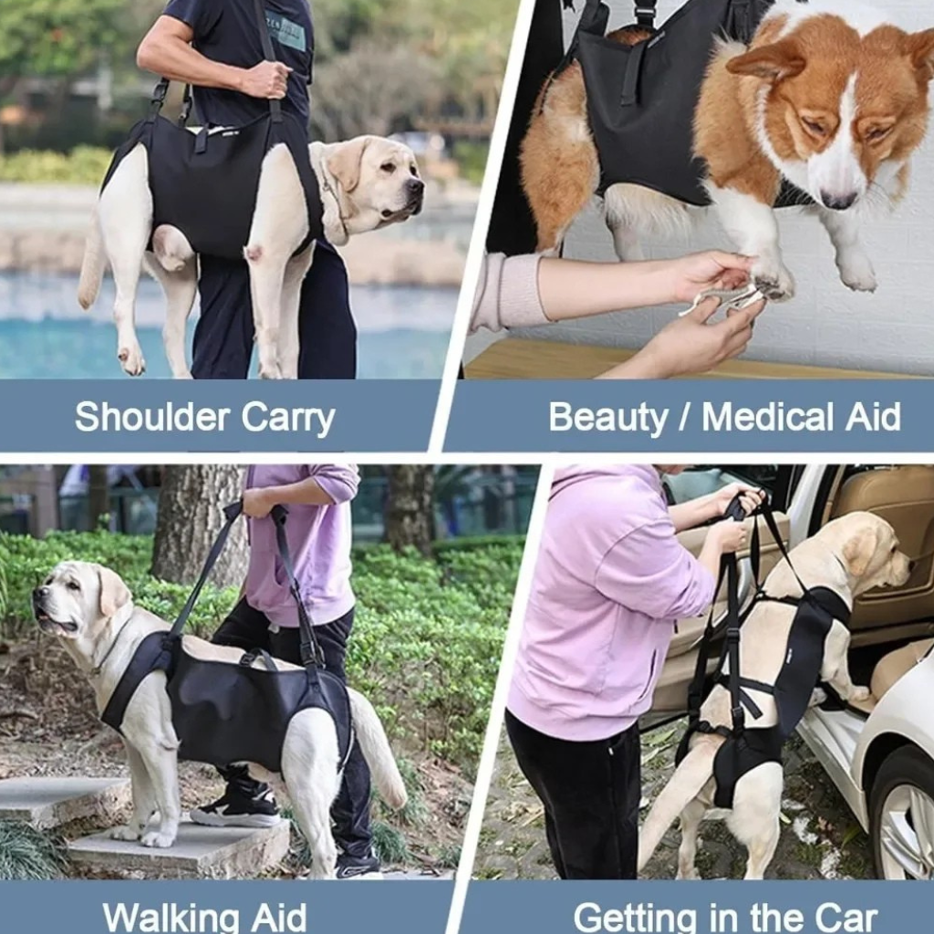 Adjustable Dog Support Harness – TrekComfort™