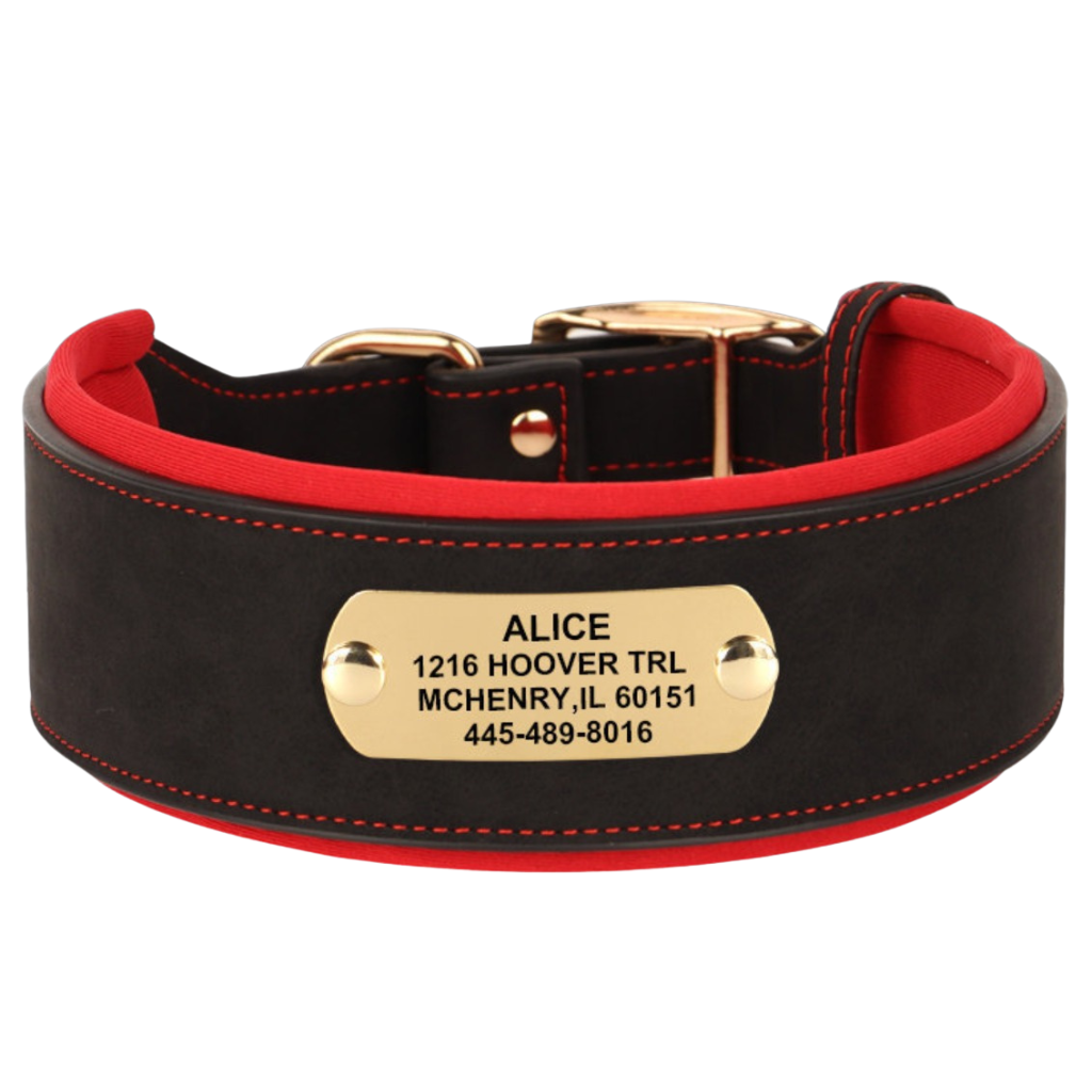 Leather Dog Collar for Everyday Walking – TrailCraft™