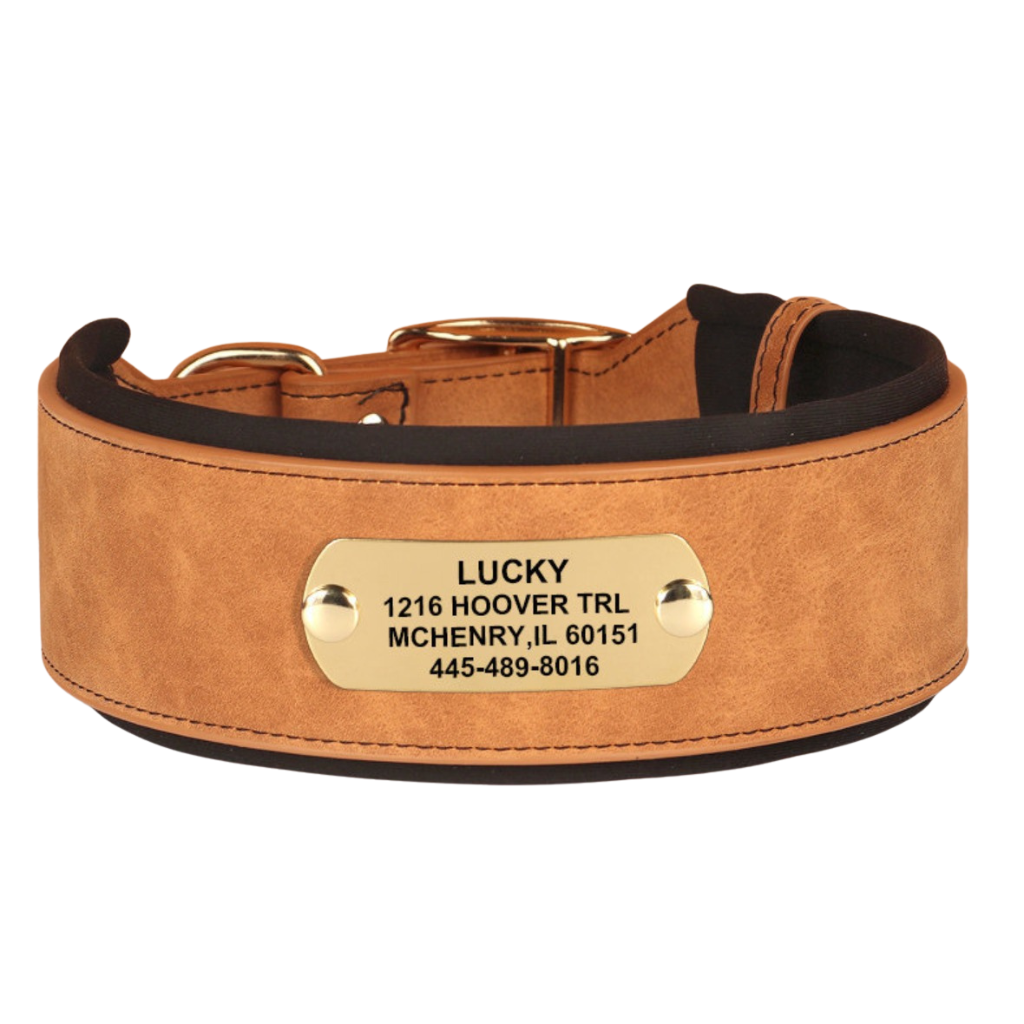 Leather Dog Collar for Everyday Walking – TrailCraft™