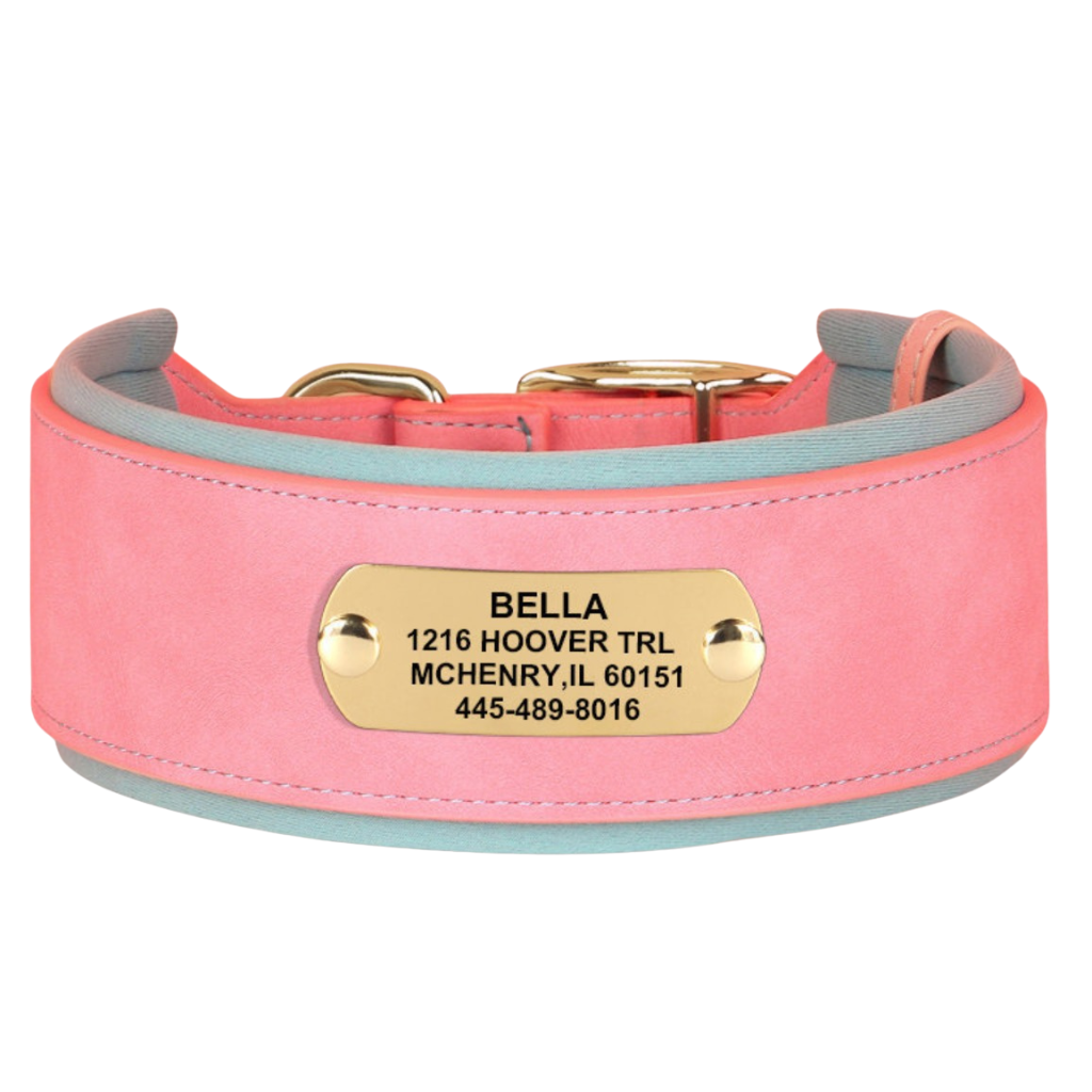 Leather Dog Collar for Everyday Walking – TrailCraft™