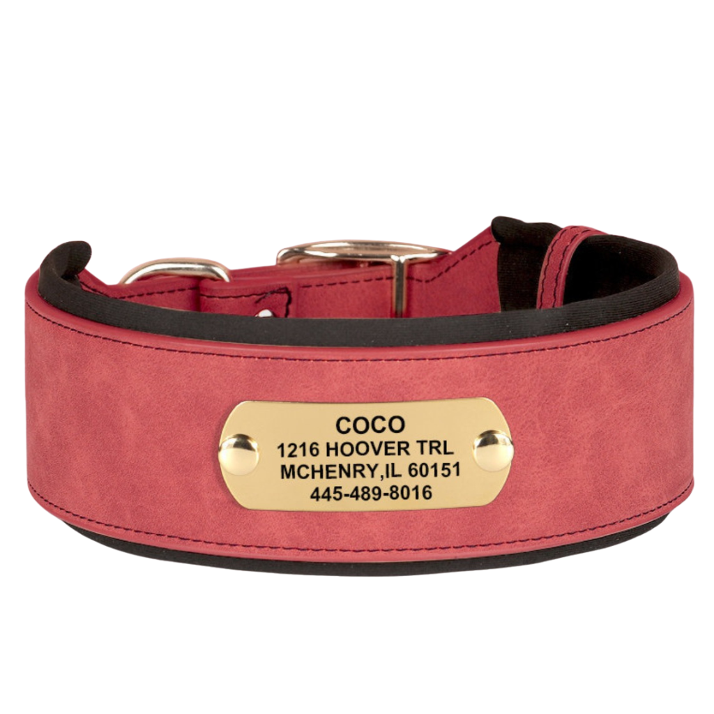 Leather Dog Collar for Everyday Walking – TrailCraft™