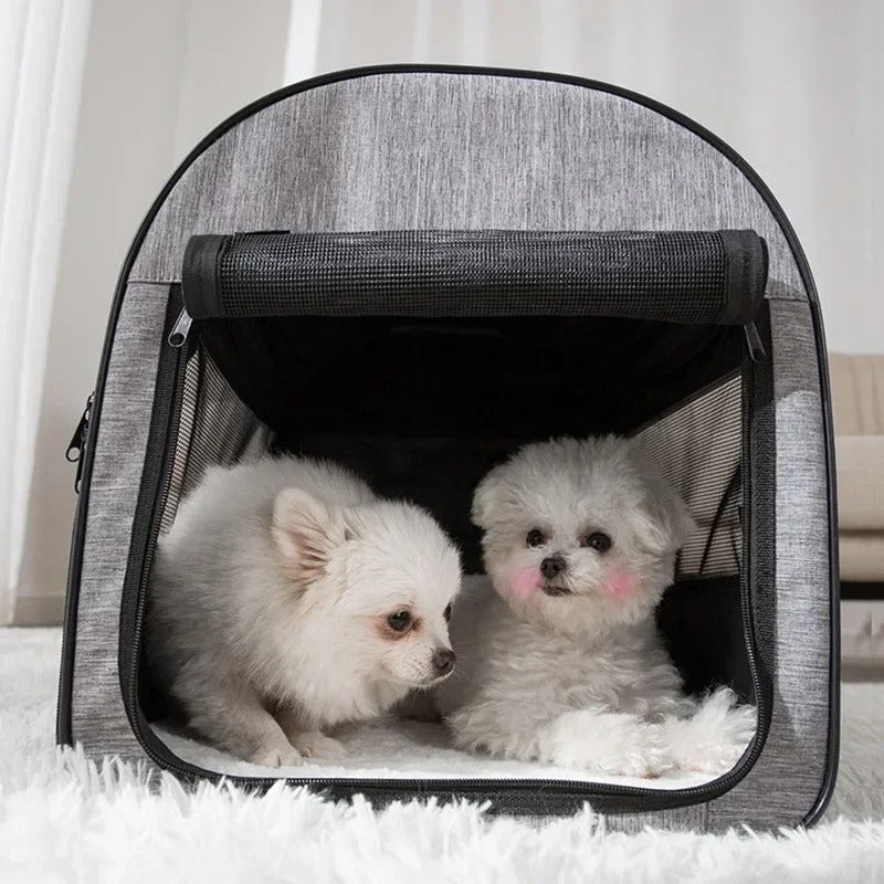 Tailented PupFlex™ – Pet Car Seat & Cargo Protection Cover for Dogs & Cats
