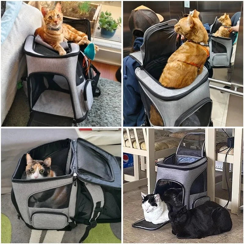 Expandable Cat & Small Dog Carrier Backpack – TripWave™