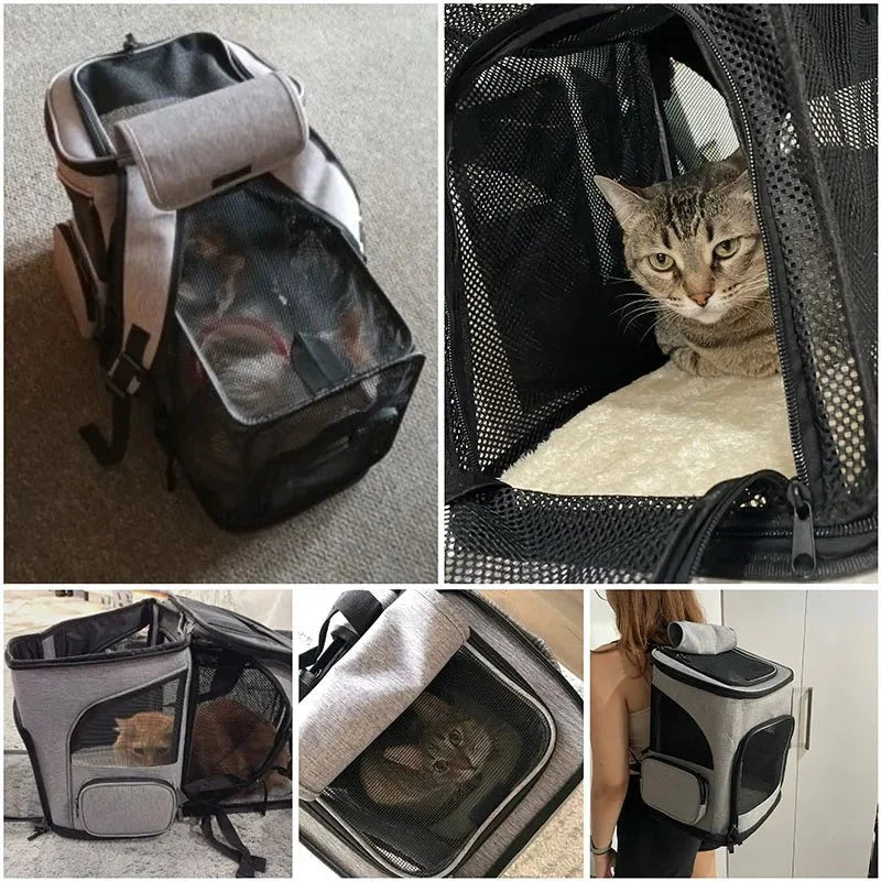 Expandable Cat & Small Dog Carrier Backpack – TripWave™
