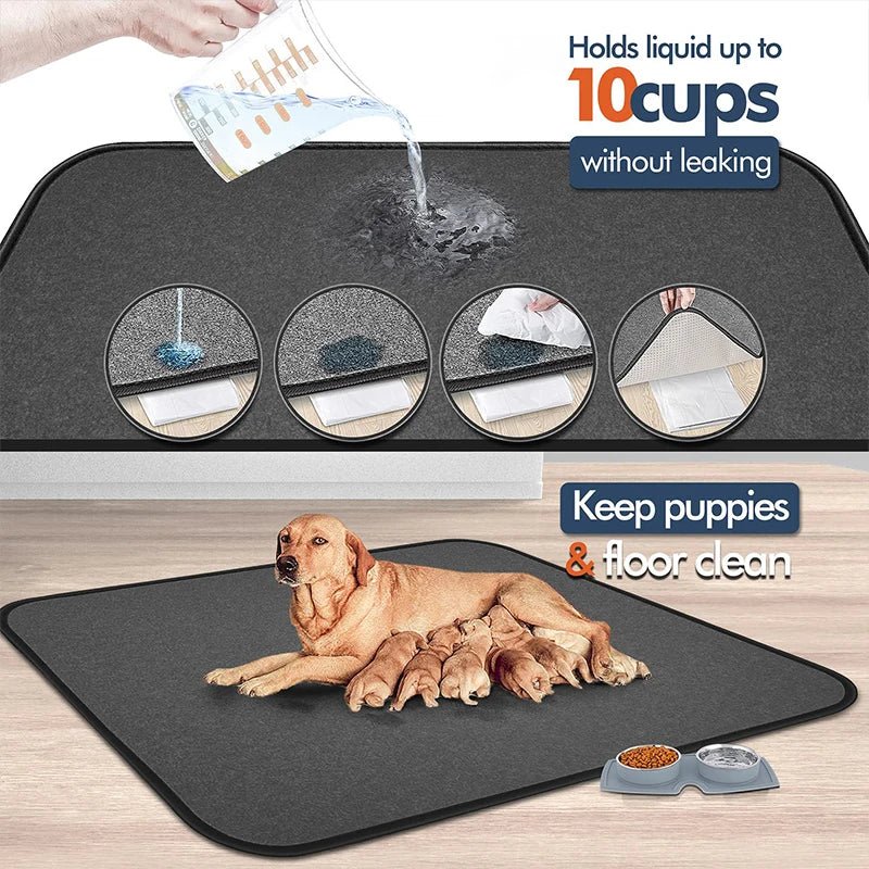 Washable Pet Comfort Mat for Dogs – CozyLiving™
