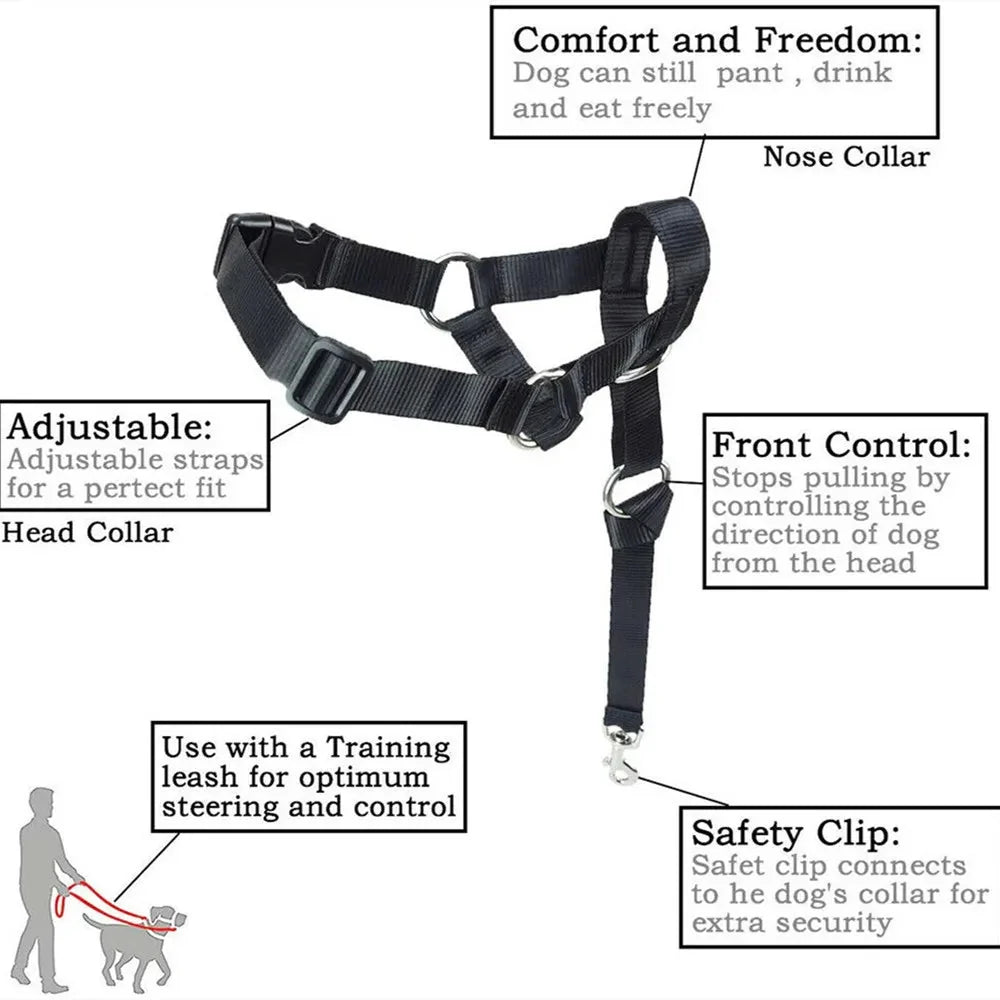 Pull Dog Halter for Everyday Walking – EverydayJoy™