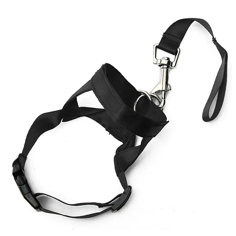 Pull Dog Halter for Everyday Walking – EverydayJoy™