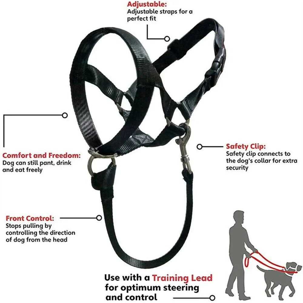 Pull Dog Halter for Everyday Walking – EverydayJoy™