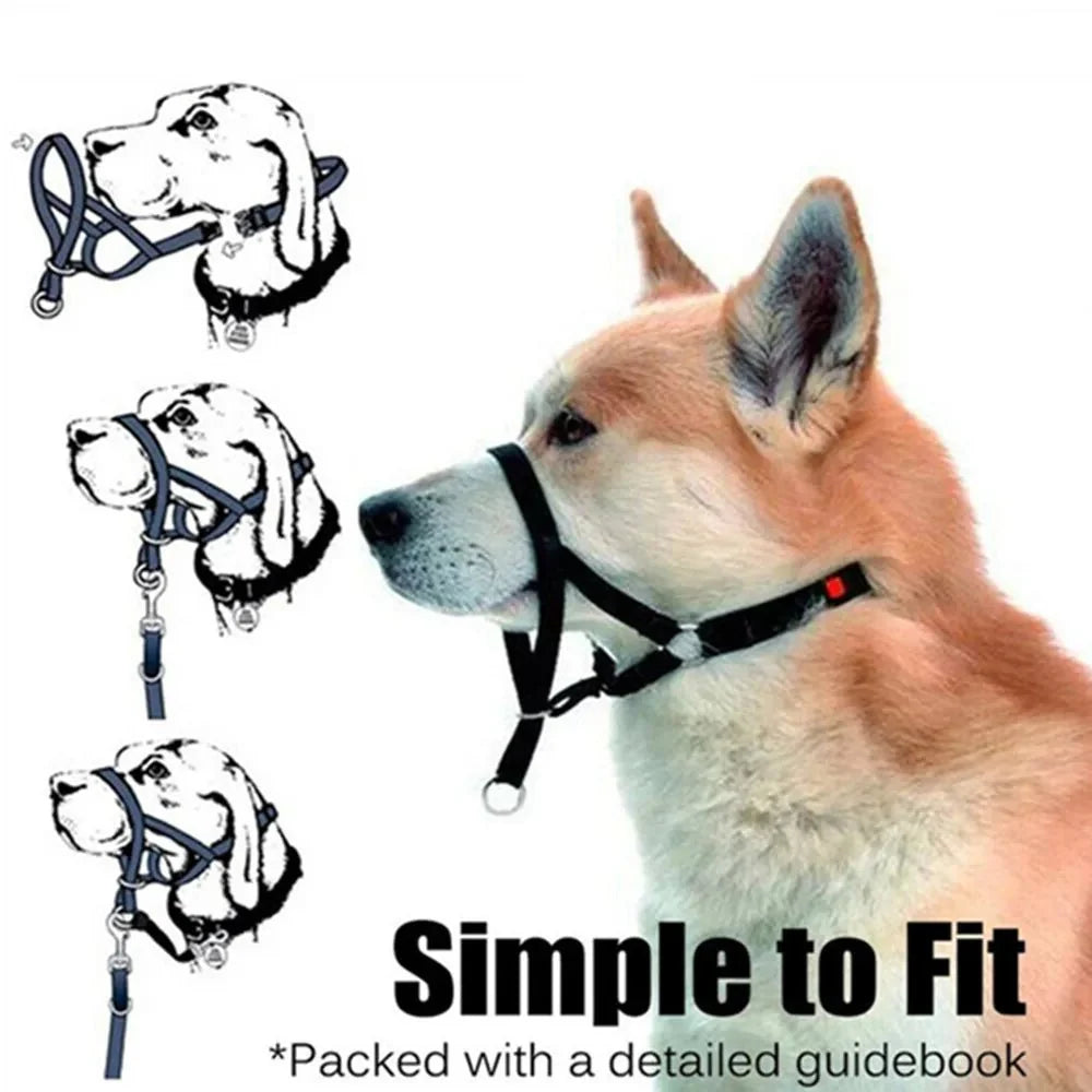 Pull Dog Halter for Everyday Walking – EverydayJoy™