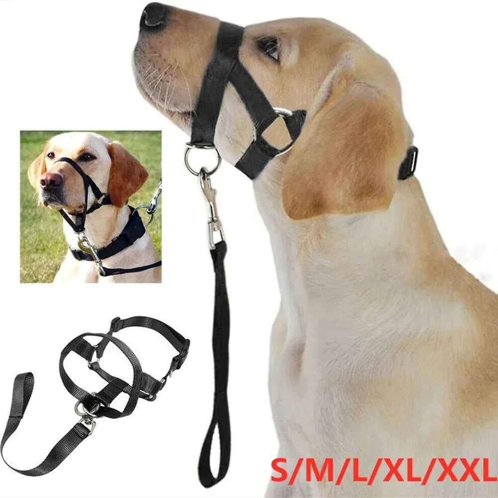 Pull Dog Halter for Everyday Walking – EverydayJoy™