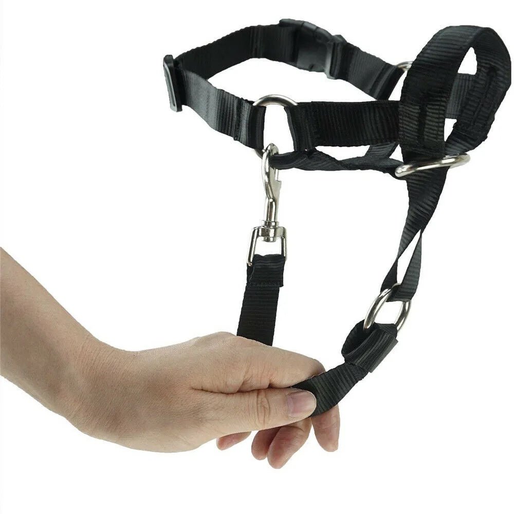 Pull Dog Halter for Everyday Walking – EverydayJoy™