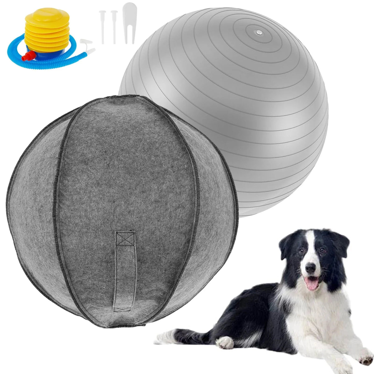 Interactive Herding Ball for Dogs – JoyMate™