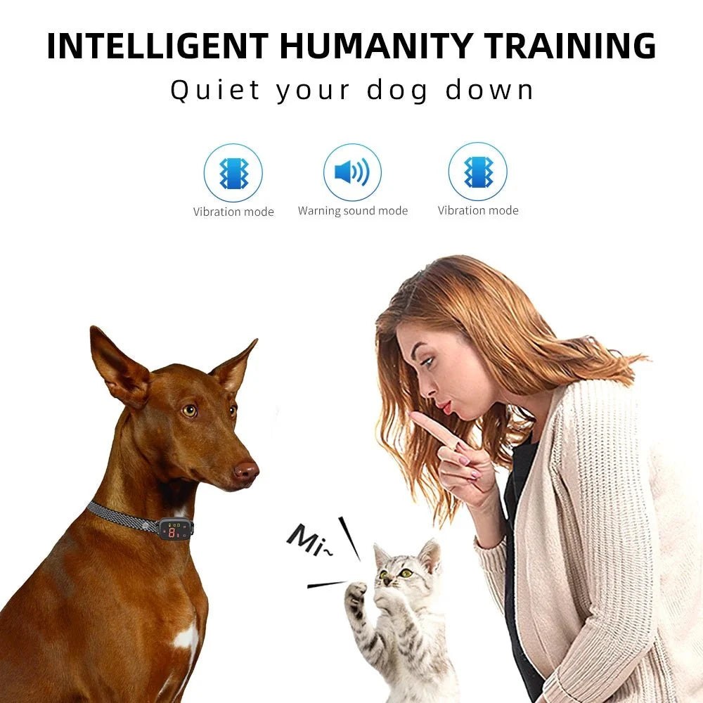 Automatic Anti-Bark Training Collar – MotionGo™