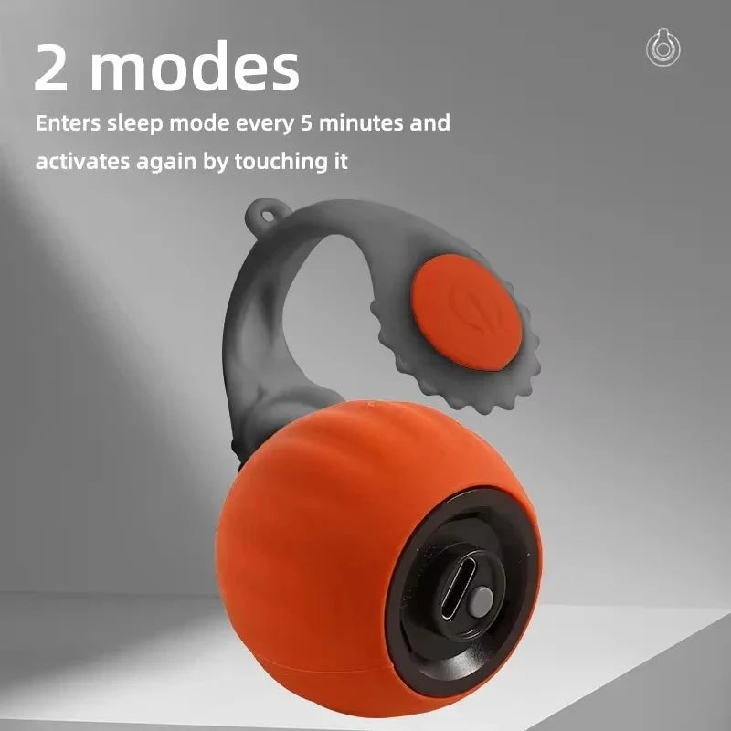 Interactive Rolling Ball Toy for Cats – PlayFit™