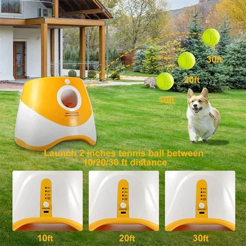 Automatic Tennis Ball Launcher for Dogs – BrainFlex™