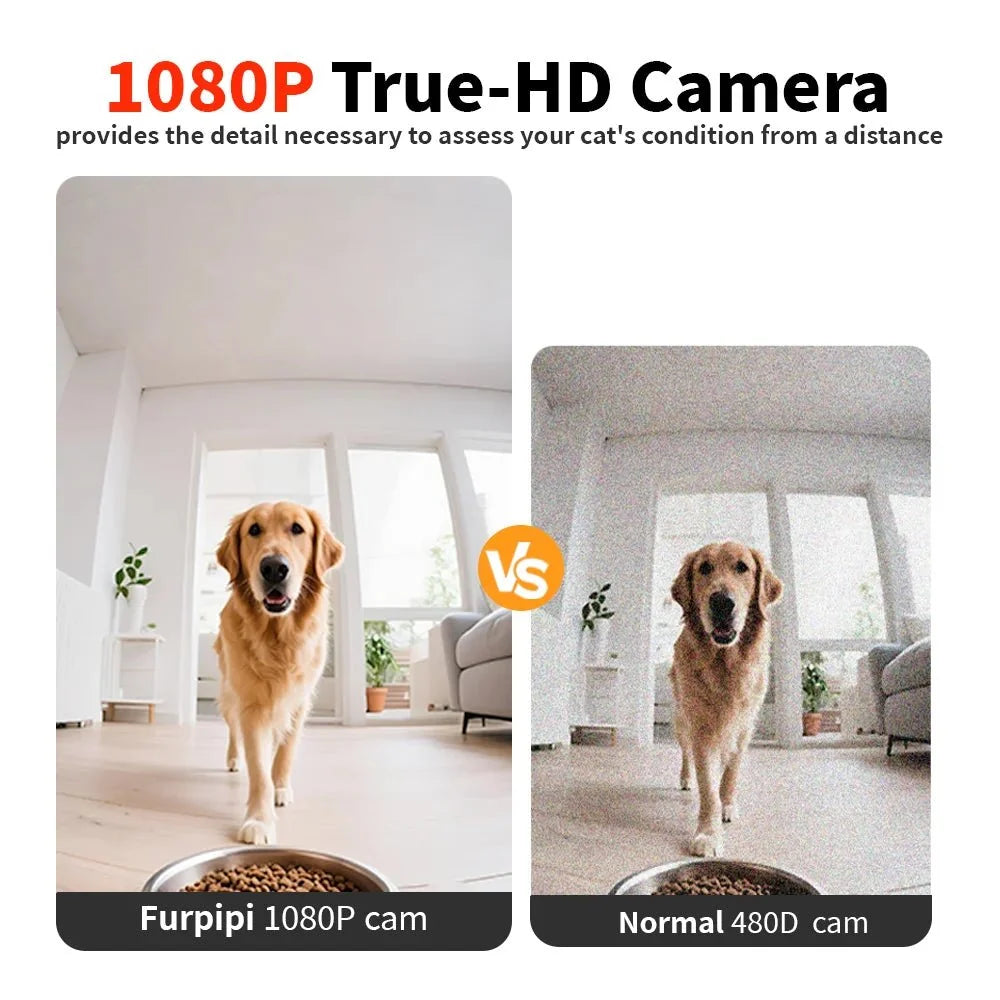 8L Automatic Pet Feeder with 1080P Camera – LookWise™