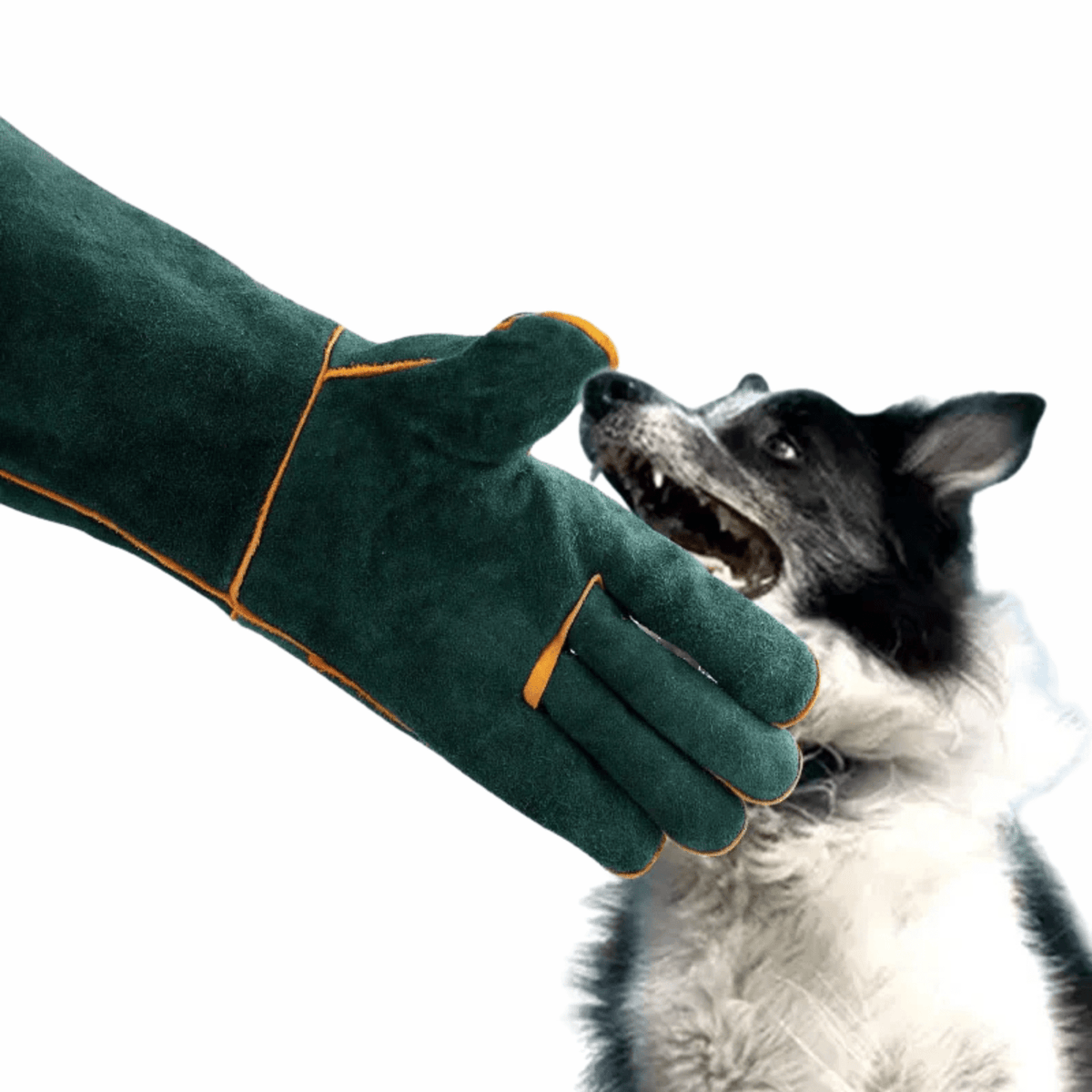 Bite-Resistant Pet Training & Grooming Gloves – BrainGlow™