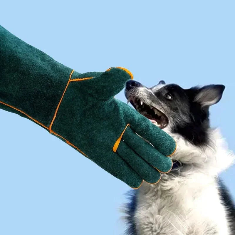Bite-Resistant Pet Training & Grooming Gloves – BrainGlow™