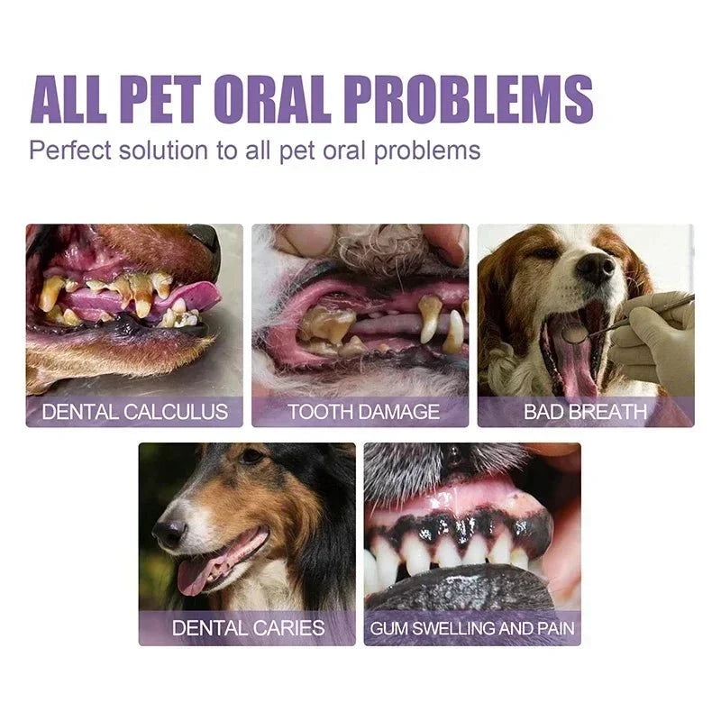 Pet Oral Care Pen for Dogs & Cats – EaseSense™