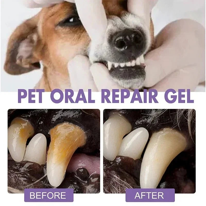 Pet Oral Care Pen for Dogs & Cats – EaseSense™