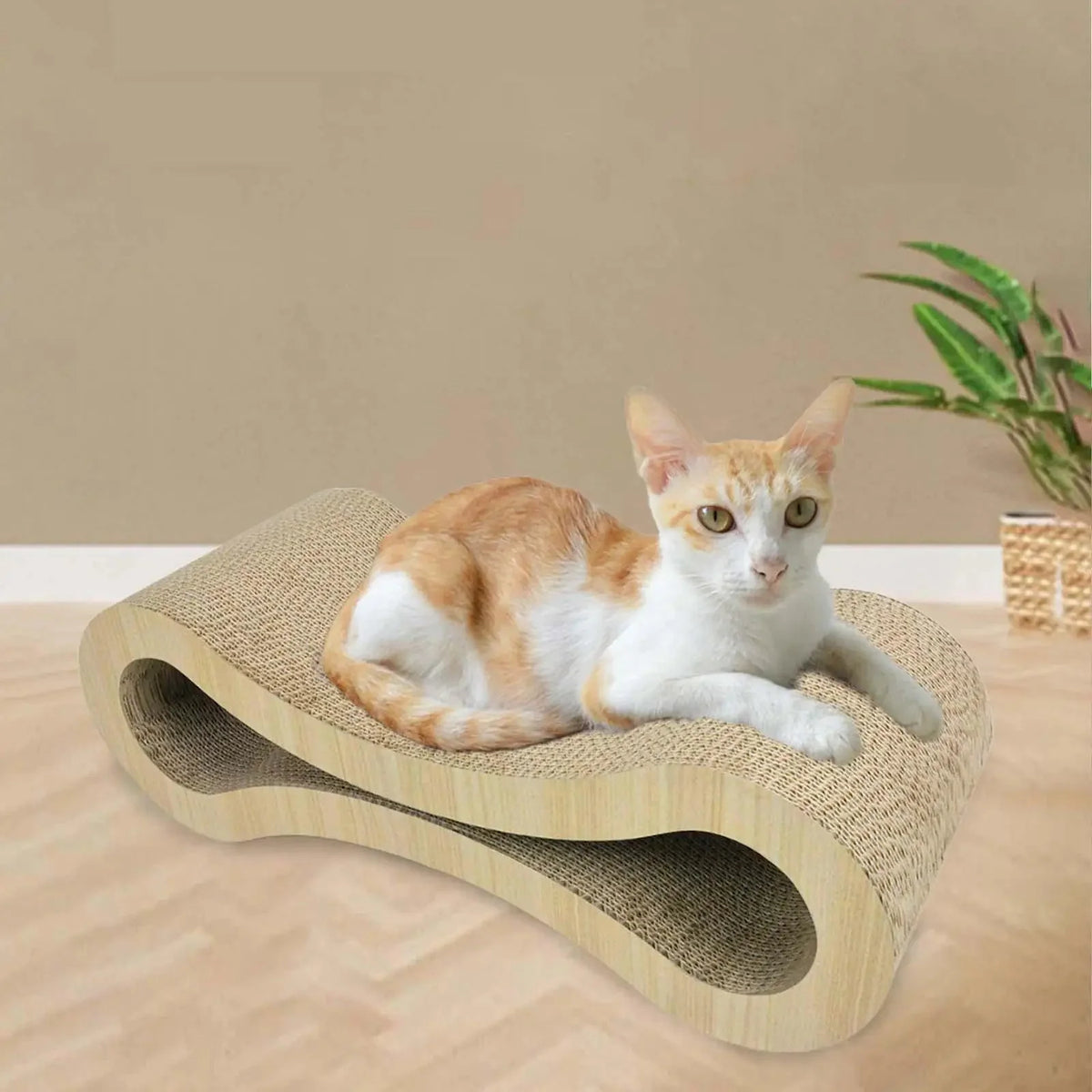 Electric Paw & Fur Trimmer for Cats – EssentialPrime™