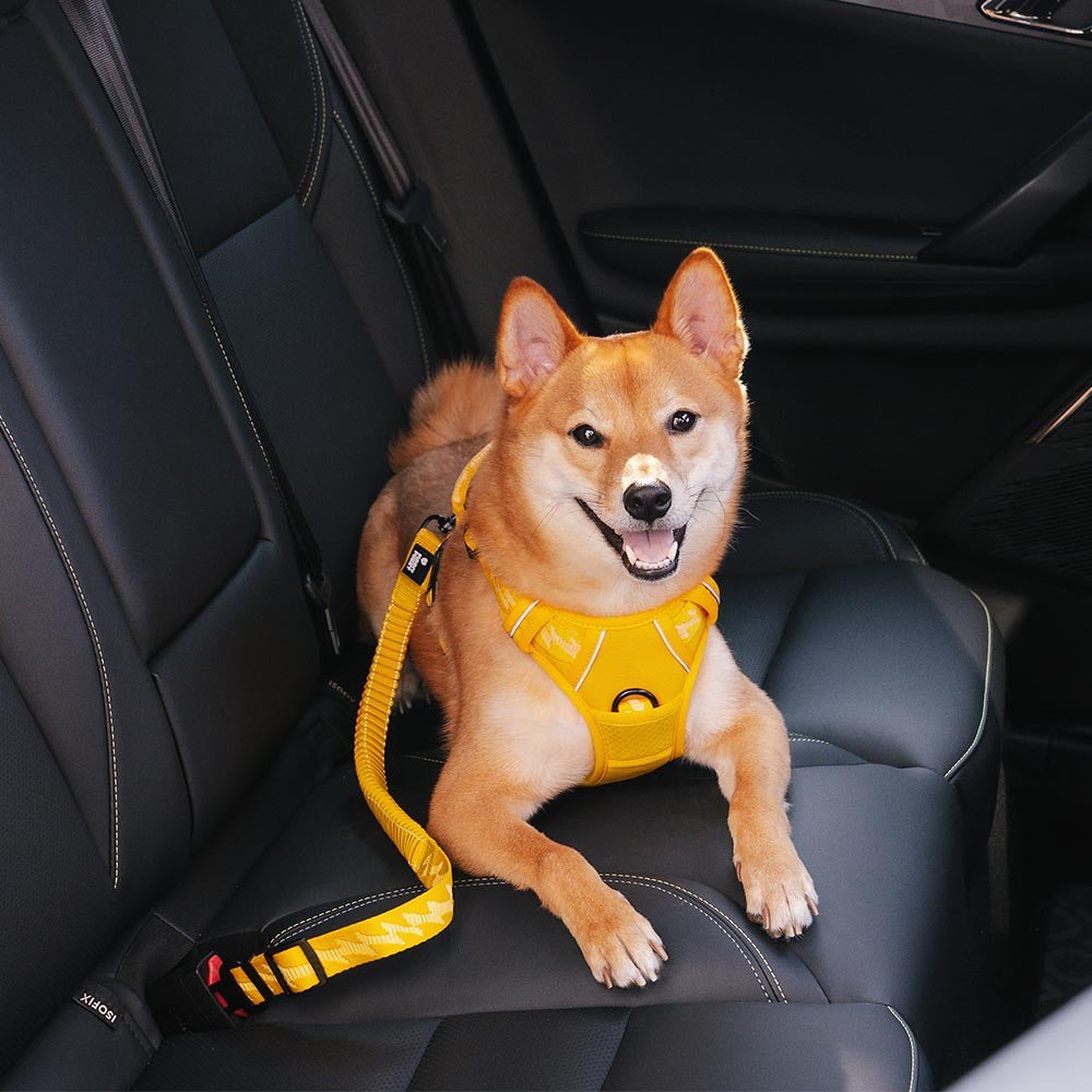 Adjustable Dog Car Seat Belt – DriveView™