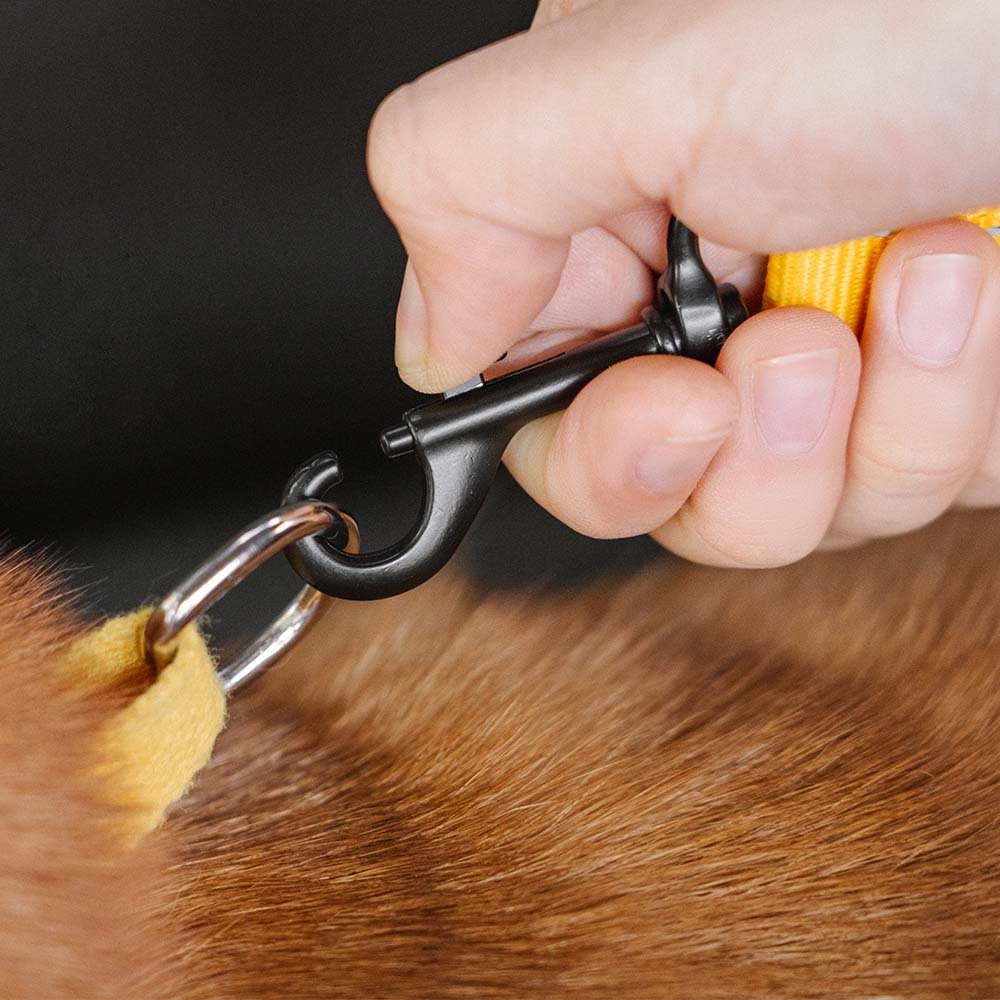 Adjustable Dog Car Seat Belt – DriveView™