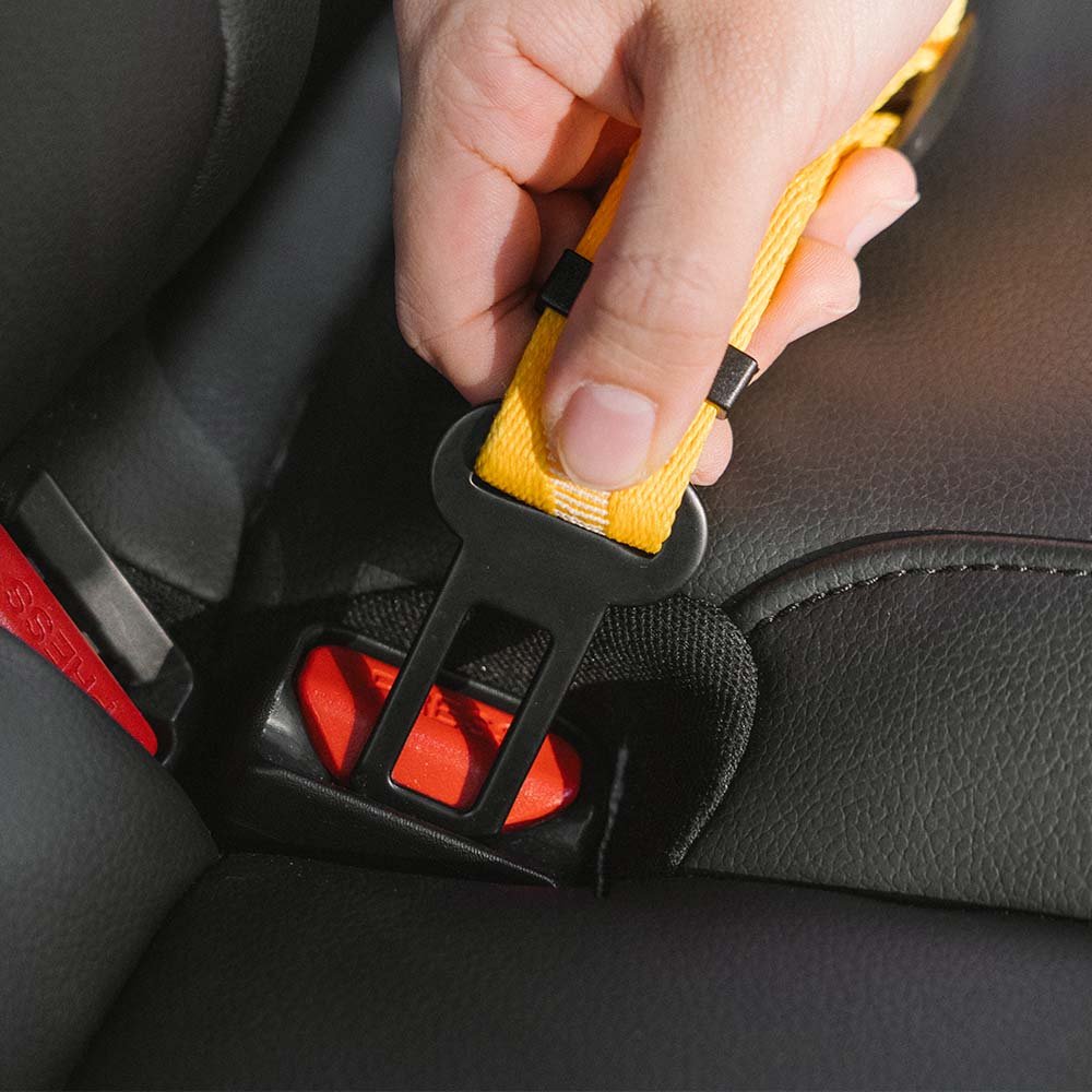 Adjustable Dog Car Seat Belt – DriveView™