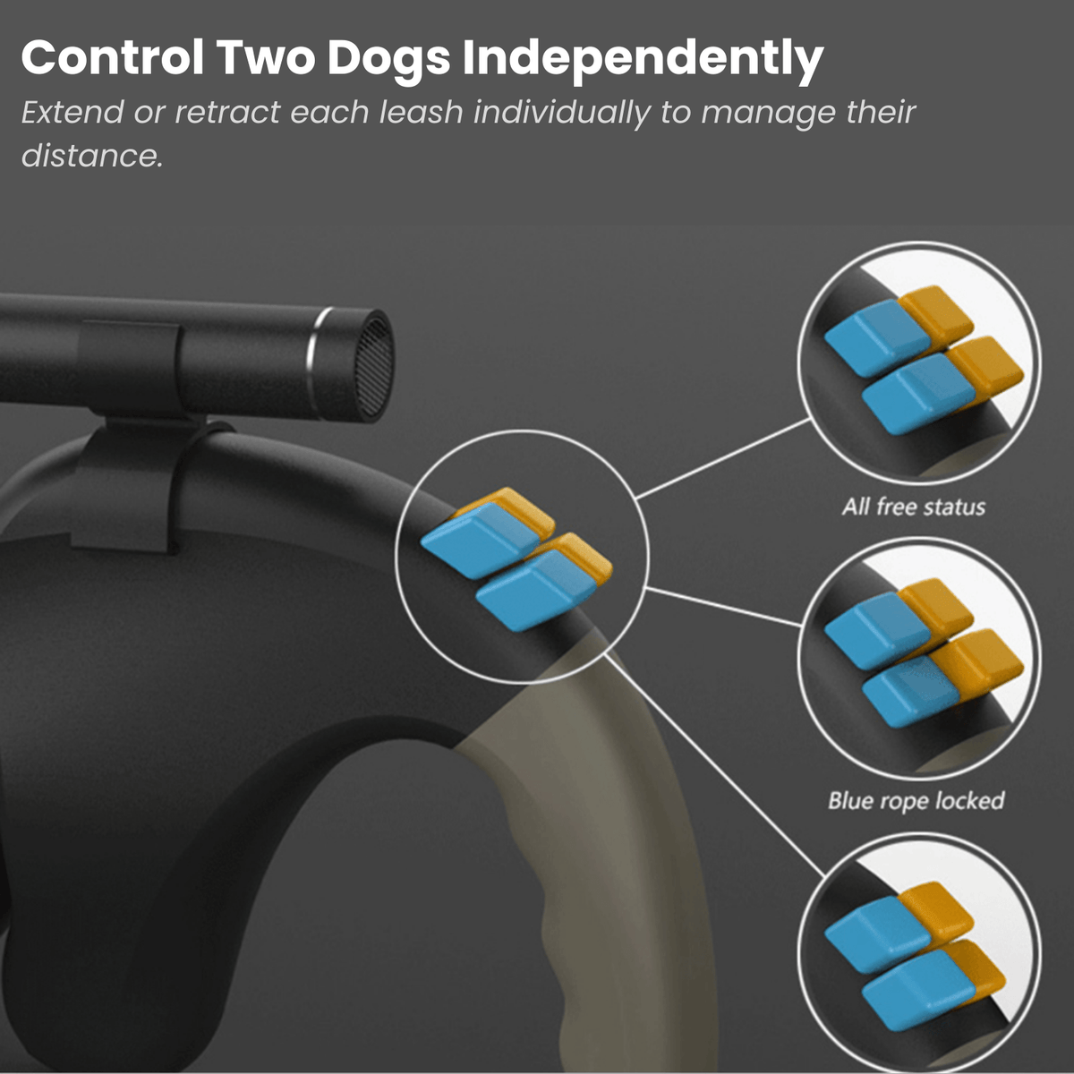 Dual Retractable Dog Leash with LED Light – TrailGlow™
