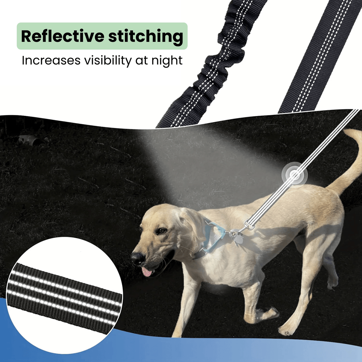 Double Shock-Absorbing Dog Leash – StrideSphere™