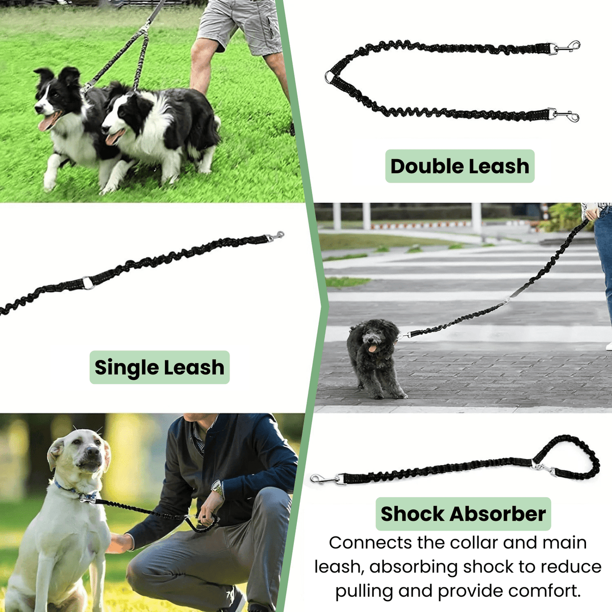 Double Shock-Absorbing Dog Leash – StrideSphere™