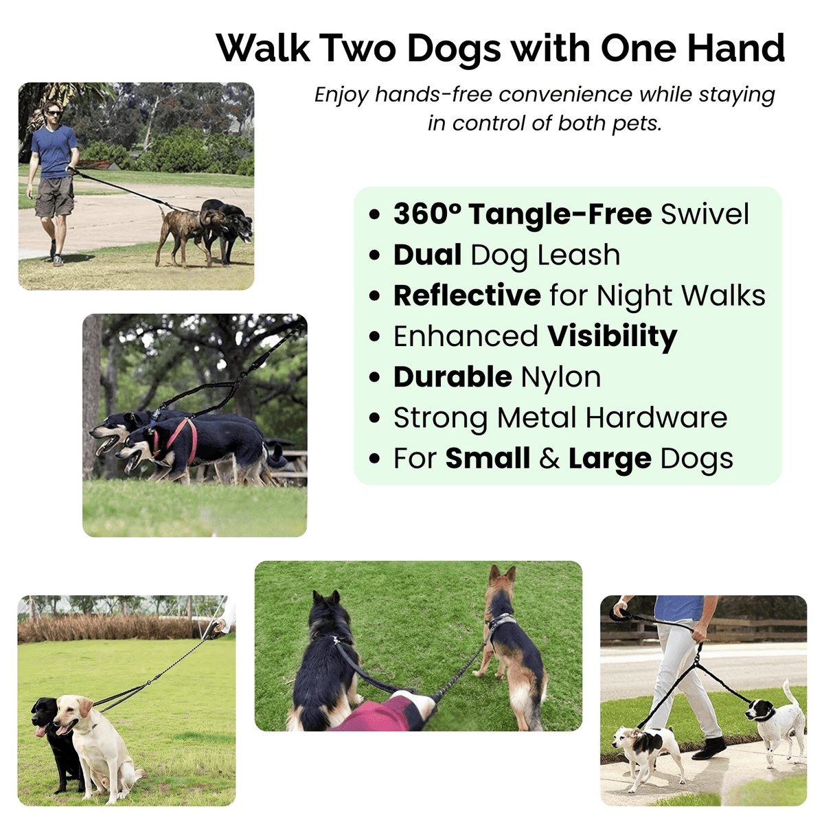 Double Shock-Absorbing Dog Leash – StrideSphere™