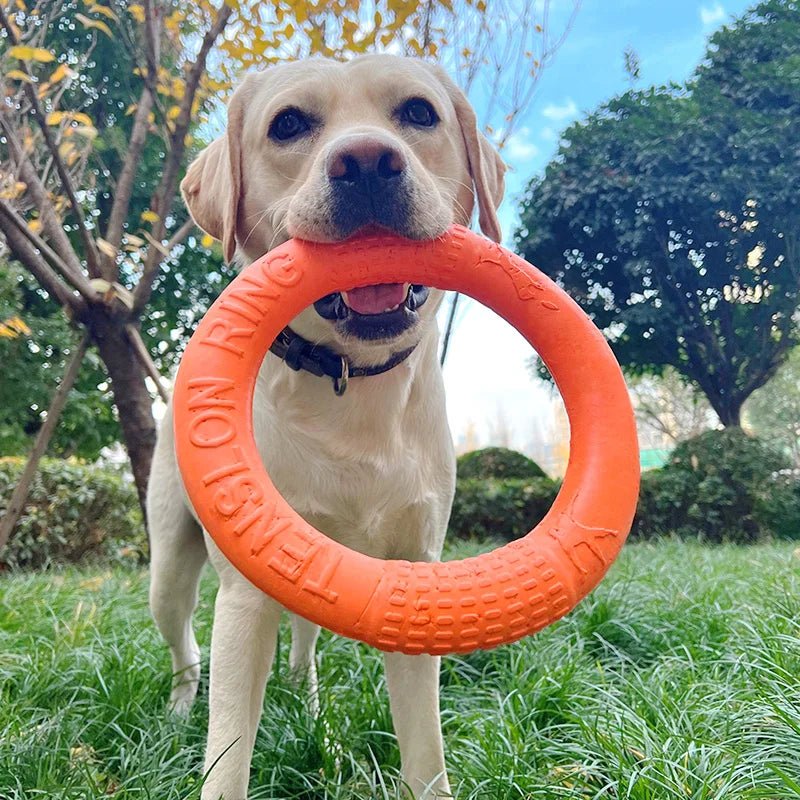 Interactive Dog Chew & Training Ring – TreatSphere™