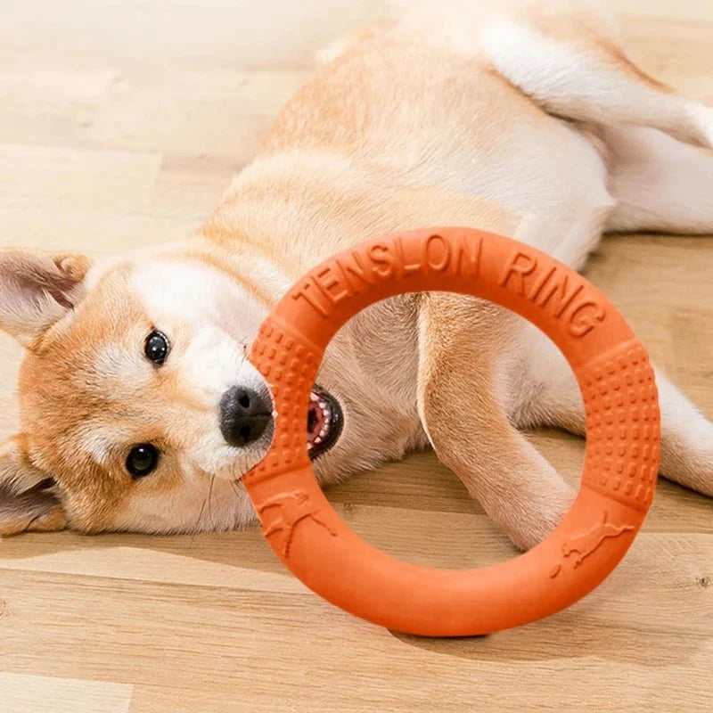 Interactive Dog Chew & Training Ring – TreatSphere™