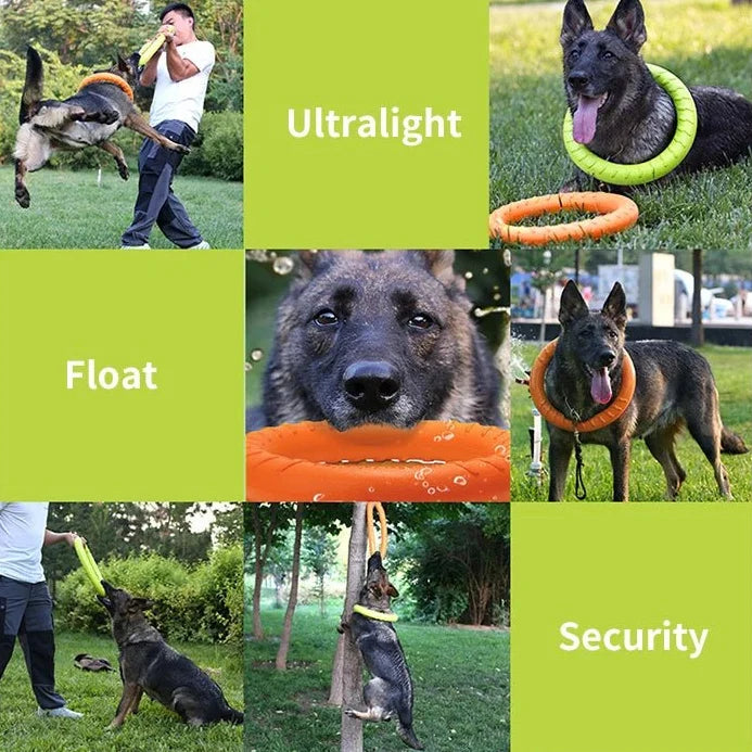 Interactive Dog Chew & Training Ring – TreatSphere™