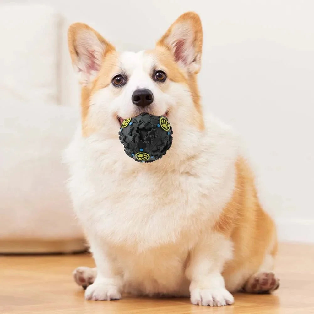 Interactive Treat Dispenser Ball for Dogs – FeedReady™