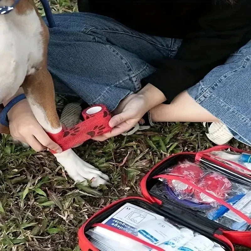 Pet First Aid Kit for Dogs & Cats – AlertPure™