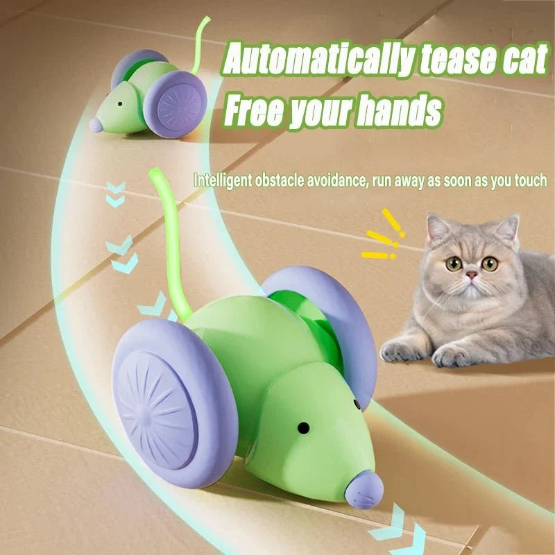 Interactive Cat Mouse Toy – PlayView™