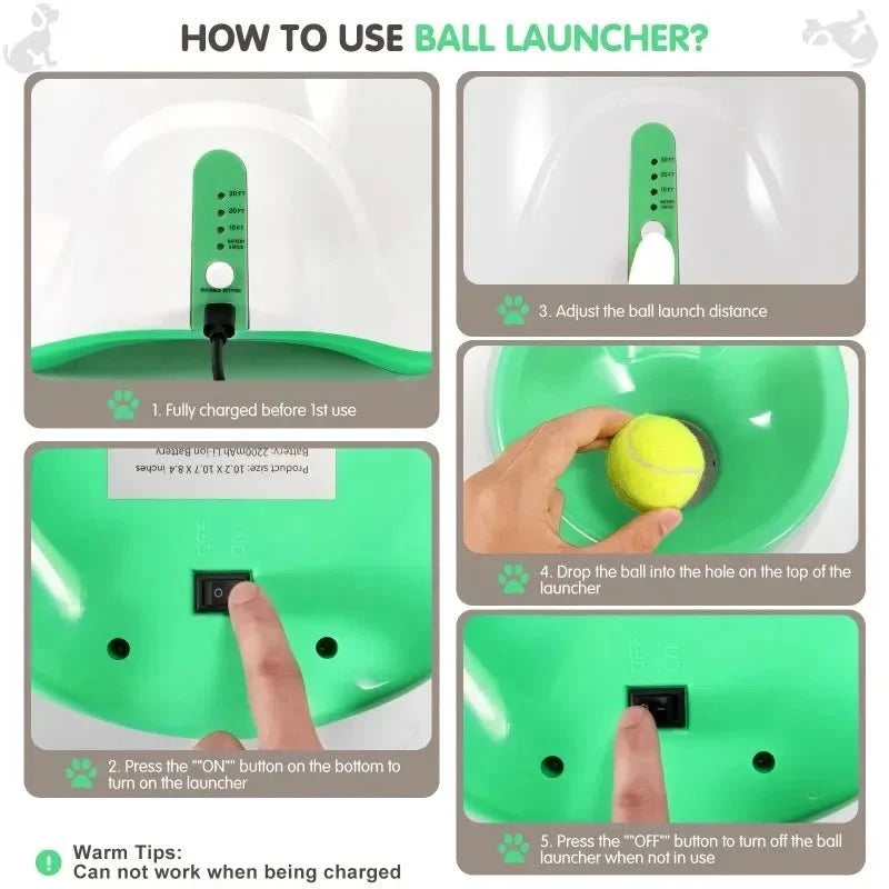 Automatic Dog Ball Launcher – PawTrail™