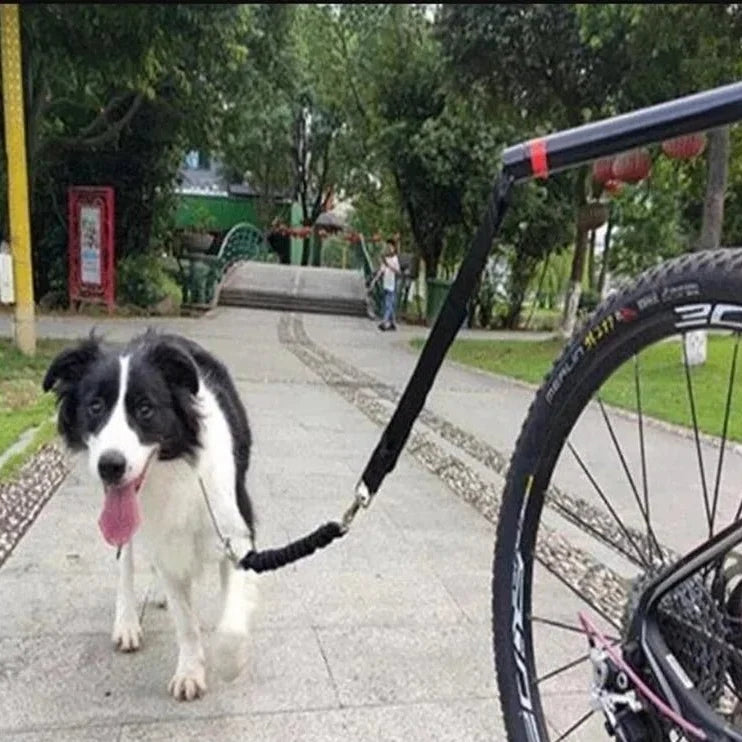 Bike Dog Leash with Metal Attachment – StrideTouch™