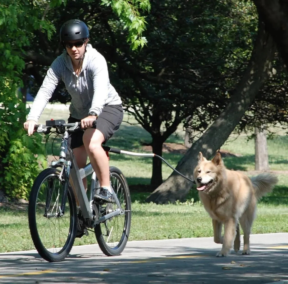 Bike Dog Leash with Metal Attachment – StrideTouch™