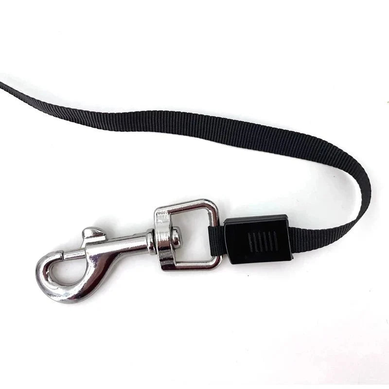 Automatic Retractable Dog Leash – TrailTouch™