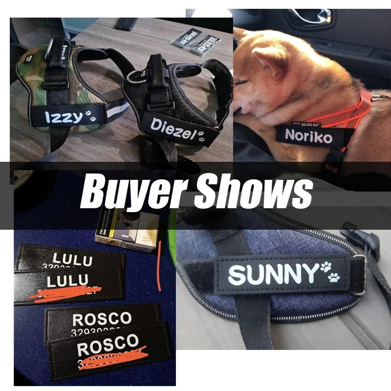 Custom Hook-and-Loop Dog Harness Name Patch – LeadEssentials™