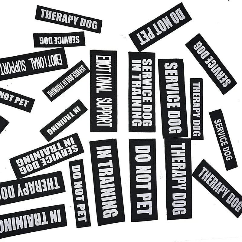 Custom Hook-and-Loop Dog Harness Name Patch – LeadEssentials™