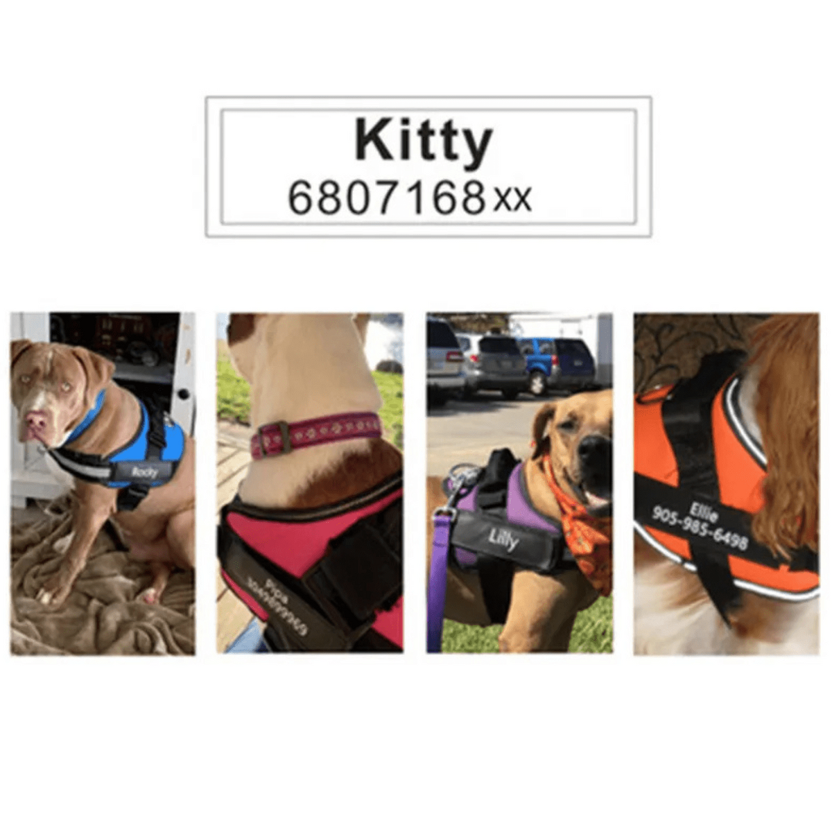 Custom Hook-and-Loop Dog Harness Name Patch – LeadEssentials™