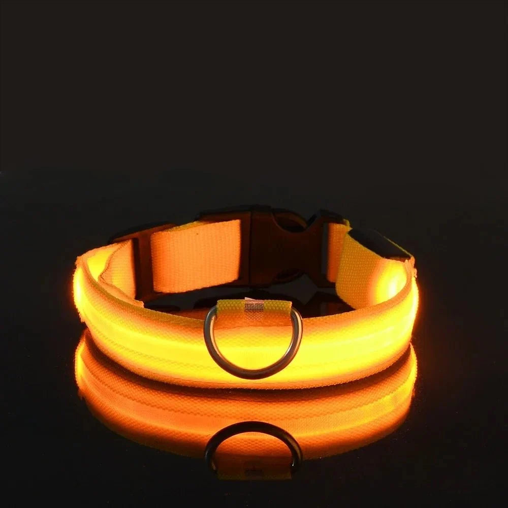 LED Dog Collar for Everyday Walks – StrideSmart™