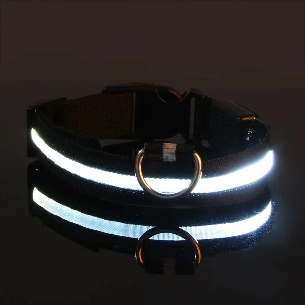 LED Dog Collar for Everyday Walks – StrideSmart™